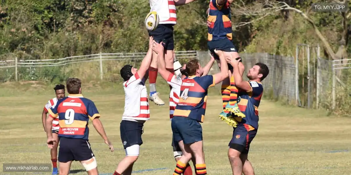 一站式体育手机平台：掌上赛事模拟高赔，高清操作更刺激